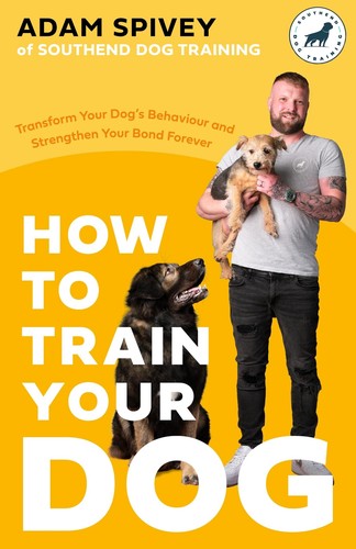 How train your dog - how,